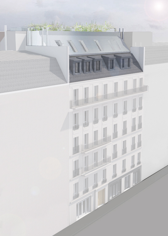 Architecte Toit Terrasse Paris